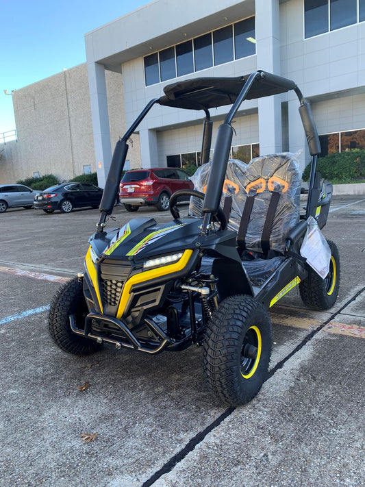 Cheetah i6 all electric, kids off road go kart. 3 speeds, with reverse, 48V 20Ah battery pack