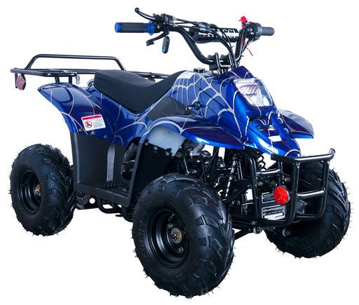 Regency HAWK 6 110cc ATV - New colors Foot Brakes For Kid 12-Year-old and Up -CARB