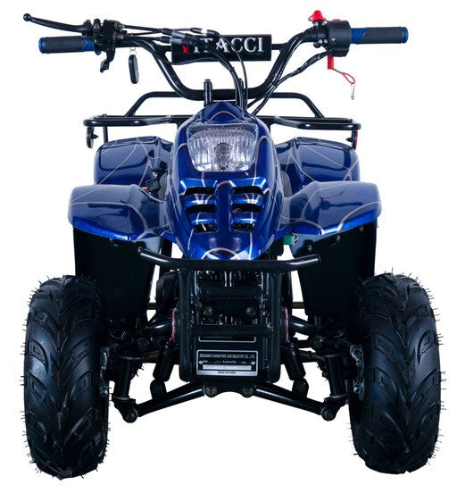 Regency HAWK 6 110cc ATV - New colors Foot Brakes For Kid 12-Year-old and Up -CARB