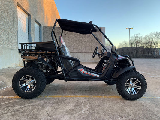 Trailmaster Cheetah 300EX Off Road UTV/Go kart | Fuel Injected Deluxe Adult Version, Center pivot rear end, water cooled motor