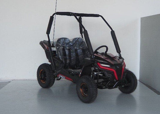 Trailmaster All New Cheetah 6 Youth off road go kart. Speed limiter , remote Kill