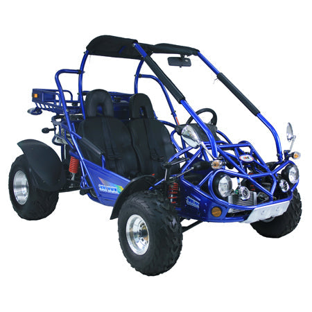 TRAILMASTER 300XRX-E (EFI) Buggy / Go Kart  Water Cooled Fuel Injected, Independent rear axles, Double A Arm Coil