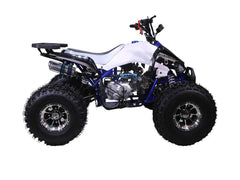 New Cheetah Delux Ultra Sport 125cc Race Style. Chrome Rims, Sport Model Ultra Quad - Fully Automatic - 19" Tires. CA Legal