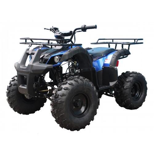 Tao T Force T125, Mid Size ATV , Automatic with Reverse, Remote Kill. CA Legal