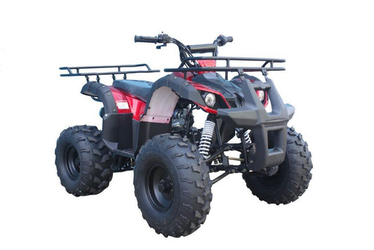 Tao T Force T125, Mid Size ATV , Automatic with Reverse, Remote Kill. CA Legal