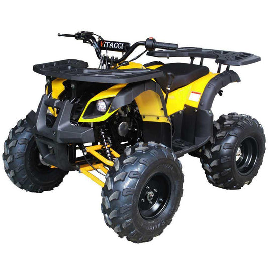 Regency Rider 10 Deluxe Sport Utility - ATV for Sale | MotoBuys