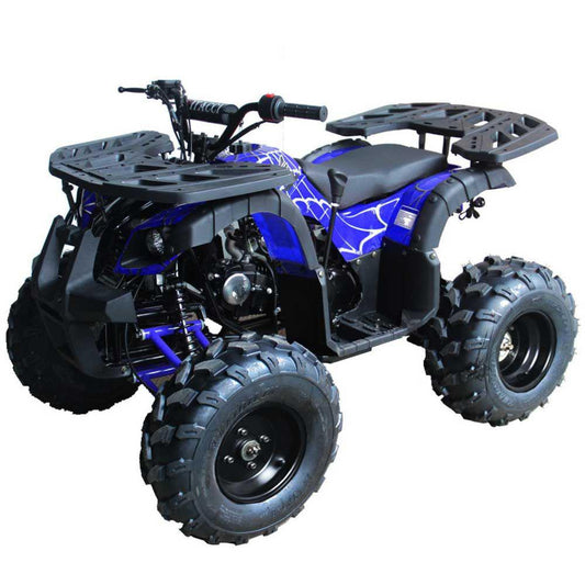 Regency Rider 10 Deluxe Sport Utility - ATV for Sale | MotoBuys