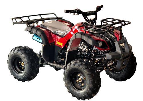 Regency LT Elite-8 Youth Quad - Side by Side UTV for Sale | MotoBuys