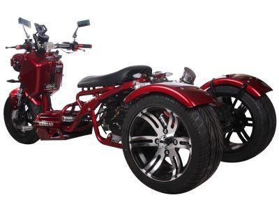 Mad Dog 50cc Trike - Three Wheeler Trike | MotoBuys