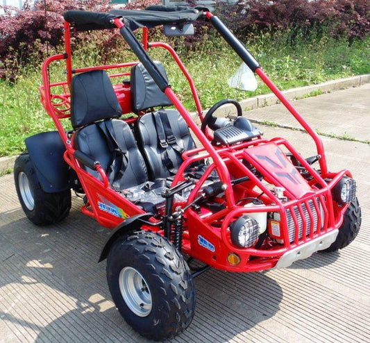 TrailMaster 300 XRSE EFI Ultra Buggy - Go Kart for Sale | MotoBuys