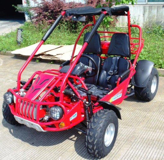 TrailMaster 300 XRSE EFI Ultra Buggy - Go Kart for Sale | MotoBuys