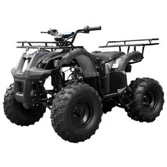 Tao T Force 125, Mid Size ATV , Automatic with Reverse, Remote Kill. CA Legal