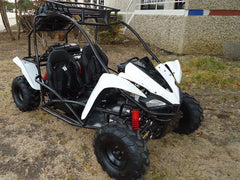 RPS Viking 125CC Mid-Size Kids Go Kart, Spare Tire, Over the Shoulder Harness, Mirrors and lights.