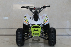 Trailmaster ATV N110 Kids ATV, Automatic trans with REVERSE, electric start