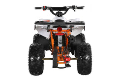 Trailmaster R125 Youth ATV, 120cc,  Race Inspired, Automatic Trans with reverse, Electric Start, LED Head lIghts, Color Matched Suspension, Speed limiter