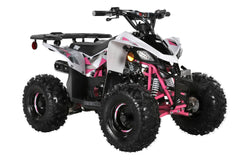 Trailmaster R125 Youth ATV, 120cc,  Race Inspired, Automatic Trans with reverse, Electric Start, LED Head lIghts, Color Matched Suspension, Speed limiter