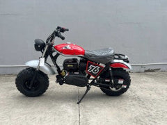 Trailmaster Mini Bike Hurricane 200 Pro, Electric start, front and rear brakes, 196cc, Head Light, 28.4 inch seat  height