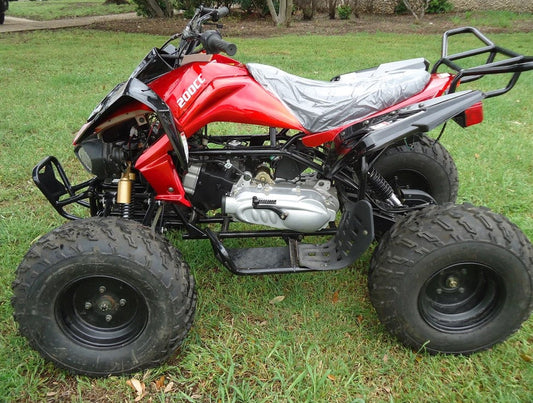 RPS RS200-ATV- 200cc Adult Full Size ATV, Automatic with Reverse, 21 inch front tires
