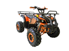 Vitacci Rider 12 Sport Utility, 125cc, Mid Size. Electric start, Reverse, Throttle Control,  12-Year-old and Up Utility ATV