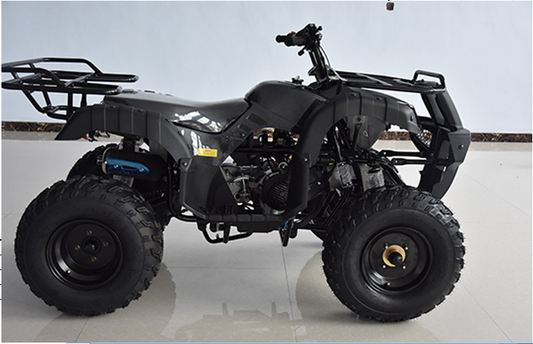 RPS Desert 200 Utility CRT 200cc Full Size Adult ATV , Automatic with Reverse, 21 inch Tires