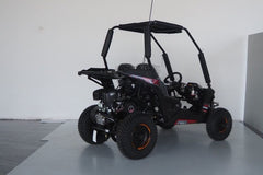Trailmaster All New Cheetah 6 Youth off road go kart. Speed limiter , remote Kill