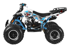 TrailMaster F125 Youth ATV, 8" wheel, 125cc 4-stroke, air-cooled, Automatic with Reverse. electric start, Throttle Limiter,