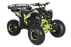 TrailMaster F125 Youth ATV, 8" wheel, 125cc 4-stroke, air-cooled, Automatic with Reverse. electric start, Throttle Limiter,