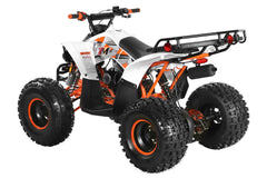 TrailMaster F125 Youth ATV, 8" wheel, 125cc 4-stroke, air-cooled, Automatic with Reverse. electric start, Throttle Limiter,