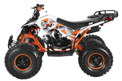 TrailMaster F125 Youth ATV, 8" wheel, 125cc 4-stroke, air-cooled, Automatic with Reverse. electric start, Throttle Limiter,