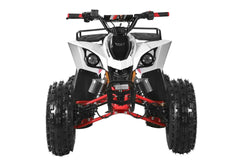 TrailMaster F125 Youth ATV, 8" wheel, 125cc 4-stroke, air-cooled, Automatic with Reverse. electric start, Throttle Limiter,