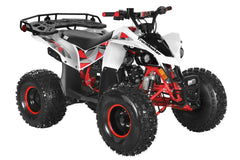 TrailMaster F125 Youth ATV, 8" wheel, 125cc 4-stroke, air-cooled, Automatic with Reverse. electric start, Throttle Limiter,