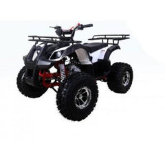Tao NEW TForce UT 125DLX Chrome Rims, Speed Limiter, Automatic Transmission. Off road only. CA Legal