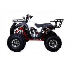 Tao NEW TForce UT 125DLX Chrome Rims, Speed Limiter, Automatic Transmission. Off road only. CA Legal
