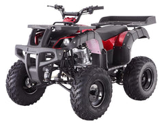 Tao Rhino 250 Full Size Utility Quad 2 wheel drive Manual 4 Speed with reverse, speed limiter