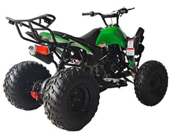 RPS Blizzard CRT 200cc adult Full Size ATV, Automatic with Reverse, 21-inch front tires