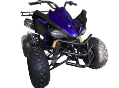 Regency Semi Automatic race inspired 125cc Youth ATV ages 16-Year-old and Up