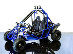 RPS RLGK-200R Go Kart / Dune Buggy