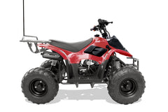 Trailmaster T110 ATV 6''  Youth sports Hunters style, 4 Stroke, Automatic trans