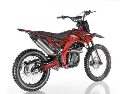 Back view of red Apollo DB36 250 Pit Bike - Dirt Bike For Sale | MotoBuys