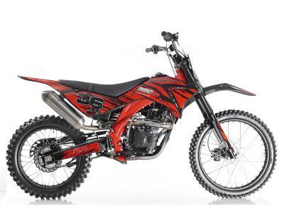 right side of red Apollo DB36 250 Pit Bike - Dirt Bike For Sale | MotoBuys