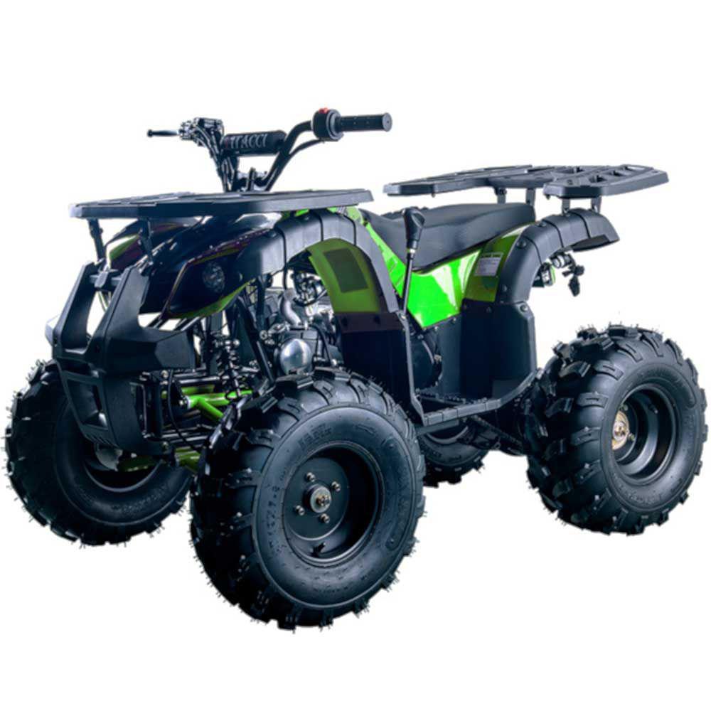 Regency Rider 10 Deluxe Sport Utility - ATV for Sale | MotoBuys