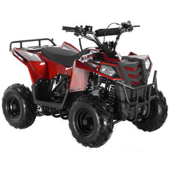 Regency Mini Commander 110cc ATV - Youth ATV | MotoBuys
