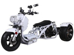 Mad Dog 50cc Trike - Three Wheeler Trike | MotoBuys