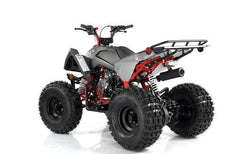 Apollo Falcon X 125 Youth Quad, Automatic with Reverse, Front and rear hydraulic brakes