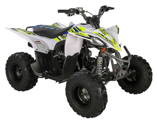 Regency Pentora 125R Race Style Youth ATV children ages 16-Year-old and Up, Automatic, Front a rear brakes, Upgraded suspension