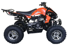 Regency Cougar Sport 200cc Adult ATV, Chrome Rims, Automatic Transmission ages 16-Year-old and Up-CARB - Motobuys
