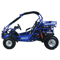 TRAILMASTER 300XRX-E (EFI) Buggy / Go Kart  Water Cooled Fuel Injected, Independent rear axles, Double A Arm Coil