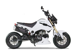 Ice Bear 125cc Deluxe 4 Speed Manual Trans, Dual Disk Brakes