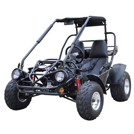 TrailMaster 200XRS Go Kart - Buggy for Sale | MotoBuys