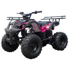 Tao T Force 125, Mid Size ATV , Automatic with Reverse, Remote Kill. CA Legal